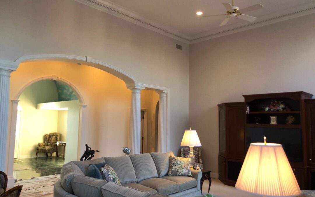 Interior Living Room in Barrington, IL 60010 completed 12/05/19 (link)